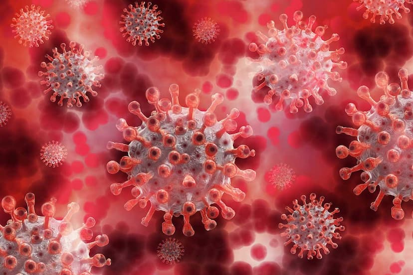 Which is the best COVID-19 Tests?