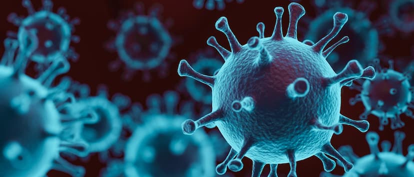 New Blog For Testingss