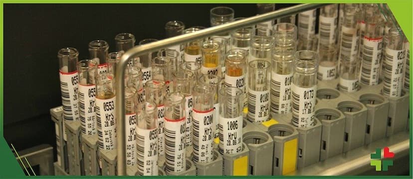 Urinary tract infection: symptoms, diagnosis and treatment