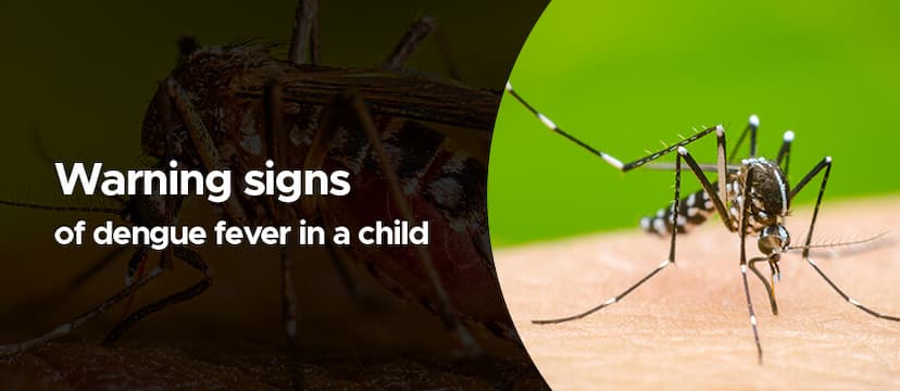  Warning Signs of Dengue Fever in a Child