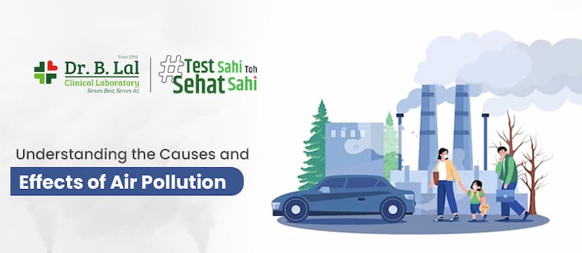 Understanding the Causes and Effects of Air Pollution