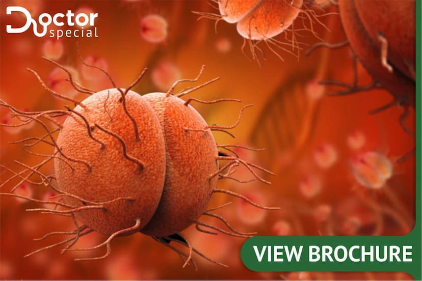 Diagnosis of Sexually Transmitted Diseases Literature