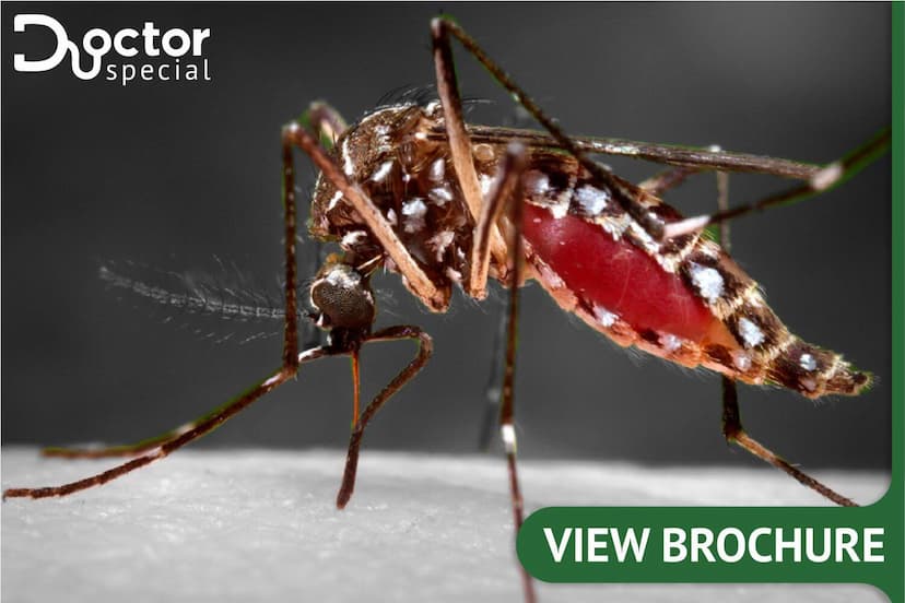 Vector Born Diseases